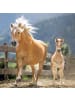 NOTIQUE Wandkalender 2027 Kalendarium in Horses – Christiane Slawik - 30 x 30 cm