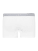 Hanro Panty Cotton Essentials in white