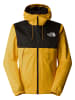 The North Face The North Face Winterjacken in summit gold