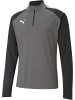 Puma Pullover "TeamLIGA 1/4 Zip Top" in Grau