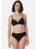 Schiesser Slip Essentials Cotton in Lila / schwarz