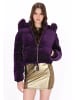 myMo at night Women Jacket in violet