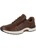 Caprice Sneaker low 9-23755-29 in braun