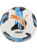 Puma Fußball "Orbita 5 FUSION Lite 290" in Weiß