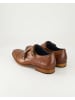 Daniel Kenneth Anzug- & Businessschuhe in Braun