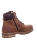 Solidus Stiefeletten/Boot in braun