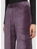 QS Hose  in  4988_aubergine