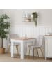 Homestyle4u Esszimmerstuhl 2er Set in Beige und Gold, Samt