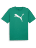 Puma T-Shirt "TeamRISE Logo Jersey Cotton" in Grün
