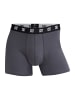 CR7 Boxer Basic Trunk Organic in mehrfarbig