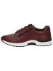 Caprice Sneaker in BORDEAUX NAPPA