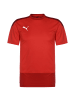 Puma Trainingsshirt teamGoal 23 in rot / dunkelrot