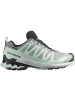 SALOMON Trailrunning-Schuh XA PRO 3D V9 GORE-TEX in quiet shade/lily pad/blue haze