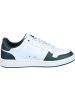K-SWISS Sneakers Low in white