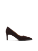 Kazar Pumps in Braun