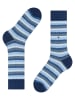 Falke Socken Signature Stripe Herren in Royal blue