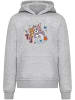 Absolute Cult Absolute Cult Kapuzenpullover in heather grey