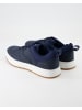 Timberland Sneaker low in Blau