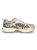 Maripe Sneaker Amsterdam in Beige Leo