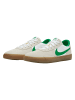 Nike Nike Turnschuhe in summit white/lucky green/white