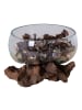 ebuy24 Waterdrop San Marino Teak 15 x 15 cm