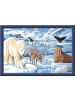 Ravensburger Ravensburger Malprodukte Tiere der Arktis in bunt