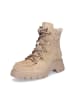 Paul Green Schnürboot in Beige