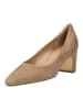 Högl Pumps in Taupe