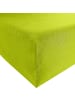 Erwin Müller Single-Jersey Spannbettlaken Freising in apfelgrün