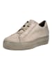 Paul Green Sneaker in Taupe