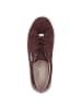 Caprice Sneaker in BORDEAUX SUEDE