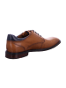 LLOYD Elegante Schnürschuhe in Braun