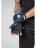 Gorilla Wear Trainingshandschuhe - Mitchell - Schwarz/Blau