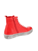 MACA Kitzbühel Sneaker high 2818  in Rot