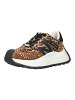 Steve Madden Sneaker Braun/Schwarz