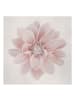 WALLART Leinwandbild - Dahlie Blume Pastell Weiß Rosa in Creme-Beige