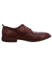Moma Schnürschuh in braun