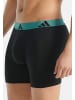 Adidas Sportswear Long Short / Pant Active Flex Cotton in Schwarz / grün / blau