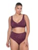 Studio Untold Bikini in aubergine
