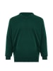 Herren Pullover in Grün