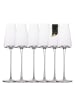 Champagner Glas Set 220 ml Sekt Prosecco Gläser in 6x 220ml Transparent