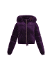 Women Jacket in violet