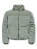 Daunenjacke in Castor Gray