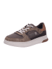 Schnürschuhe in taupe