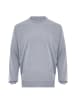 Herren Pullover in Hellgrau Melange