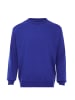 Herren Pullover in Blau