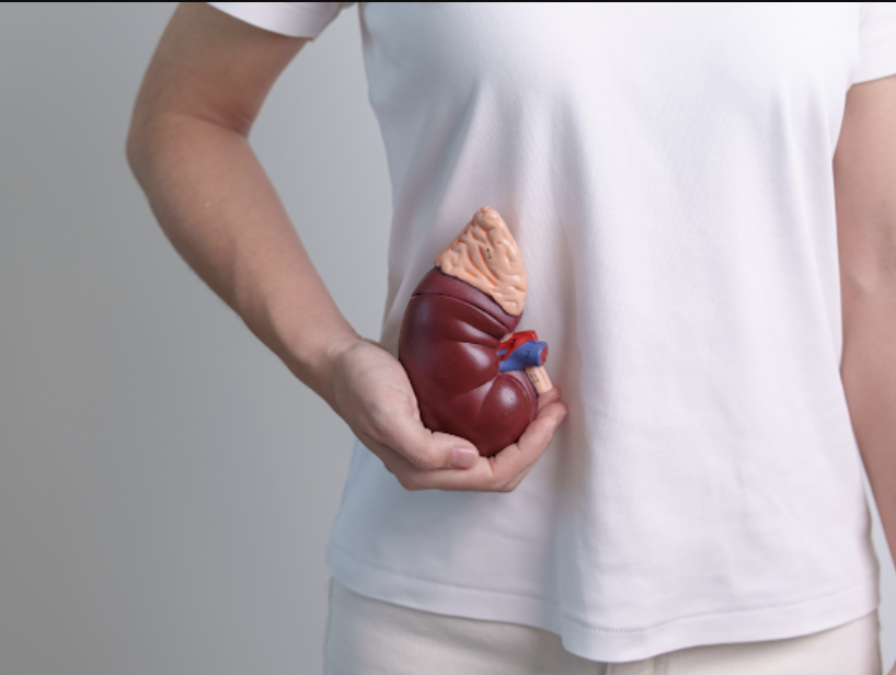Chirurgie de la lithiase urinaire