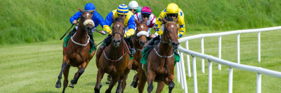 Exploring Fractional Ownership of Racehorses