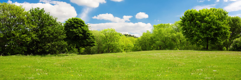 Investing in Vacant Land