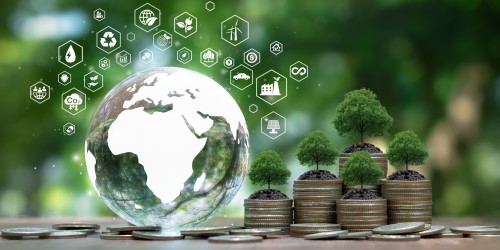 The Shift Toward Values-Driven Investing